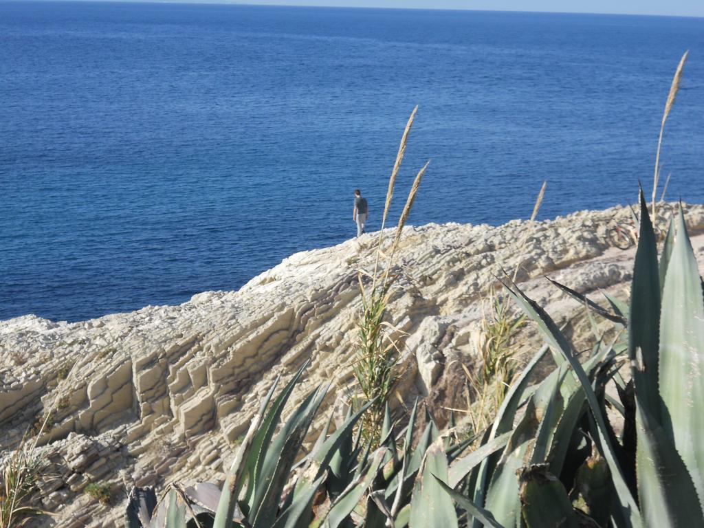 Case Vacanze Terra Sinus Terrasini Εξωτερικό φωτογραφία