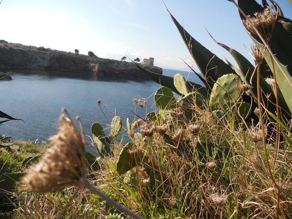 Case Vacanze Terra Sinus Terrasini Εξωτερικό φωτογραφία