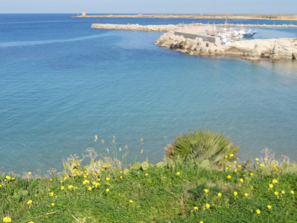 Case Vacanze Terra Sinus Terrasini Εξωτερικό φωτογραφία